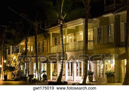 Palm trees in front of a house, Key West, Florida, USA View Large Photo Image Stock Photo - Palm trees in front of a house, Key West, Florida, USA. Fotosearch