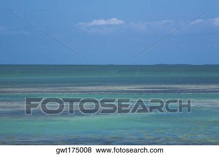 Stock Photo - Panoramic view of the sea, Florida Keys, Florida, USA. Fotosearch