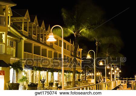 Street lights and palm trees in front of house, Key West, Florida, USA View Large Photo Image Picture - Street lights and palm trees in front of house, Key West, Florida, USA. Fotosearch