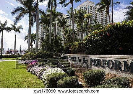 Flowers and trees in a park, Broward Center For The Performing Arts, Fort Lauderdale, Florida, USA View Large Photo Image Stock Image - Flowers and trees in a park, Broward Center For The Performing Arts, Fort Lauderdale, Florida, USA. Fotosearch