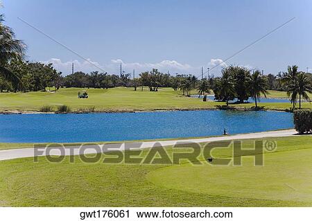 Lake in a golf course, Key West, Florida, USA View Large Photo Image Stock Image - Lake in a golf course, Key West, Florida, USA. Fotosearch