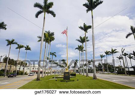 Low angle view of an American flag with palm trees, Royal Poinciana Way, Palm Beach, Florida, USA View Large Photo Image Stock Photo - Low angle view of an American flag with palm trees, Royal Poinciana Way, Palm Beach, Florida, USA. Fotosearch