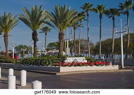 Stock Photo - Palm trees along a road, St. Petersburg, Florida, USA. Fotosearch