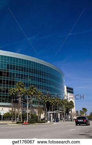 Stock Photo - Palm trees in front of a shopping mall, Tampa Bay Center, Tampa, Florida, USA. Fotosearch