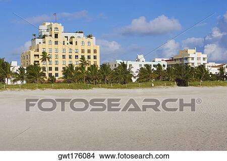Palm trees in front of buildings, South Beach, Miami Beach, Florida, USA View Large Photo Image Picture - Palm trees in front of buildings, South Beach, Miami Beach, Florida, USA. Fotosearch