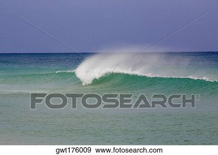 Panoramic view of the sea, Fort Lauderdale, Florida, USA View Large Photo Image Stock Photo - Panoramic view of the sea, Fort Lauderdale, Florida, USA. Fotosearch