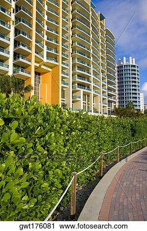Plants in front of buildings, South Beach, Miami Beach, Florida, USA View Large Photo Image Stock Image - Plants in front of buildings, South Beach, Miami Beach, Florida, USA. Fotosearch