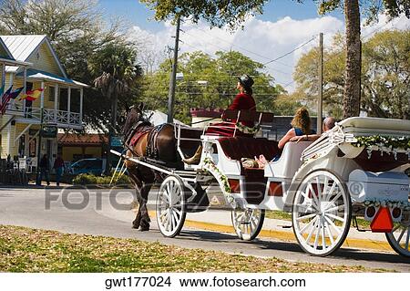 Horse drawn on the road, St. Augustine, Florida, USA View Large Photo Image Picture - Horse drawn on the road, St. Augustine, Florida, USA. Fotosearch