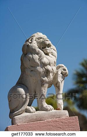 Low angle view of the statue of a lion, St. Augustine, Florida, USA View Large Photo Image Stock Image - Low angle view of the statue of a lion, St. Augustine, Florida, USA. Fotosearch