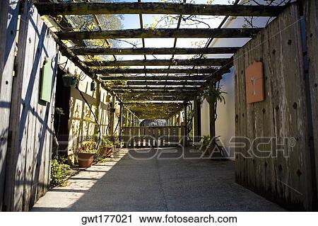 Stock Image - Potted plants in a greenhouse. Fotosearch