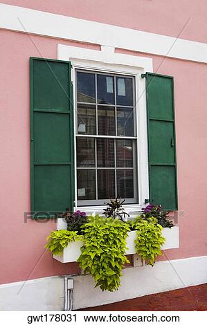 Close-up of a window on a wall, Nassau, Bahamas View Large Photo Image Stock Image - Close-up of a window on a wall, Nassau, Bahamas. Fotosearch