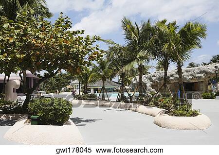 Palm trees along a path at a tourist resort, Cable Beach, Nassau, Bahamas View Large Photo Image Stock Photography - Palm trees along a path at a tourist resort, Cable Beach, Nassau, Bahamas. Fotosearch