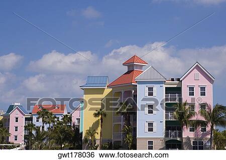 Palm trees in front of buildings, Paradise Island, Bahamas View Large Photo Image Stock Photograph - Palm trees in front of buildings, Paradise Island, Bahamas. Fotosearch