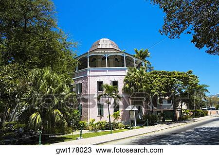 Stock Image - Trees in front of a building, Shirley Street, Nassau, Bahamas. Fotosearch