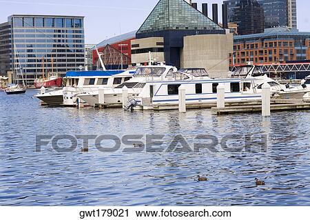Boats moored at a harbor, National Aquarium, Inner Harbor, Baltimore, Maryland, USA View Large Photo Image Stock Image - Boats moored at a harbor, National Aquarium, Inner Harbor, Baltimore, Maryland, USA. Fotosearch