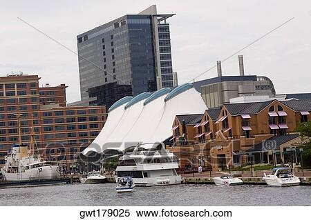 Buildings at the waterfront, Columbus Center, Inner Harbor, Baltimore, Maryland, USA View Large Photo Image Stock Photography - Buildings at the waterfront, Columbus Center, Inner Harbor, Baltimore, Maryland, USA. Fotosearch