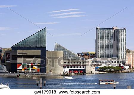 Buildings at the waterfront, National Aquarium, Inner Harbor, Baltimore, Maryland, USA View Large Photo Image Stock Photo - Buildings at the waterfront, National Aquarium, Inner Harbor, Baltimore, Maryland, USA. Fotosearch