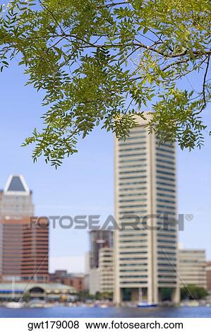 Buildings at the waterfront, World Trade Center, Inner Harbor, Baltimore, Maryland, USA View Large Photo Image Stock Photo - Buildings at the waterfront, World Trade Center, Inner Harbor, Baltimore, Maryland, USA. Fotosearch