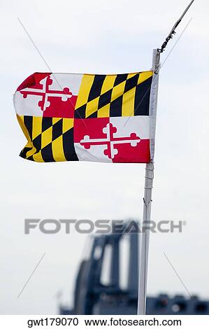 Close-up of a Maryland State flag fluttering, Baltimore, Maryland, USA View Large Photo Image Stock Image - Close-up of a Maryland State flag fluttering, Baltimore, Maryland, USA. Fotosearch