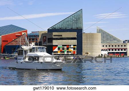 Motorboat at a harbor, Inner Harbor, Baltimore, Maryland, USA View Large Photo Image Stock Image - Motorboat at a harbor, Inner Harbor, Baltimore, Maryland, USA. Fotosearch