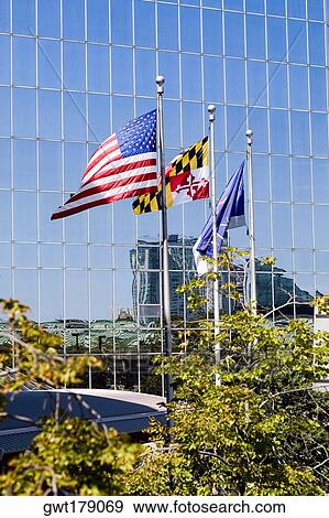 Three flags fluttering in front of a building, Baltimore, Maryland, USA View Large Photo Image Stock Photo - Three flags fluttering in front of a building, Baltimore, Maryland, USA. Fotosearch