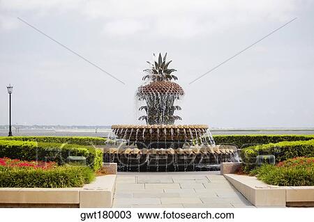 Fountain in a park, Waterfront Park, Cooper River, Charleston, South Carolina, USA View Large Photo Image Stock Image - Fountain in a park, Waterfront Park, Cooper River, Charleston, South Carolina, USA. Fotosearch