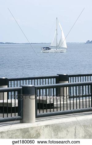 Sailboat sailing in a river, Waterfront Park, Cooper River, Charleston, South Carolina, USA View Large Photo Image Stock Image - Sailboat sailing in a river, Waterfront Park, Cooper River, Charleston, South Carolina, USA. Fotosearch