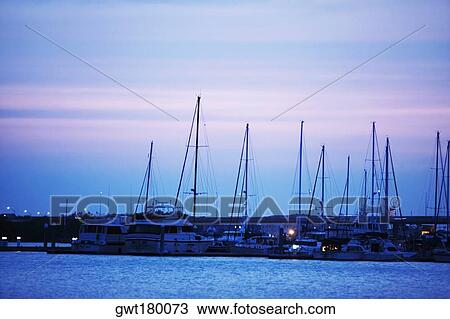 Sailboats docked at a harbor, Charleston, South Carolina, USA View Large Photo Image Stock Image - Sailboats docked at a harbor, Charleston, South Carolina, USA. Fotosearch