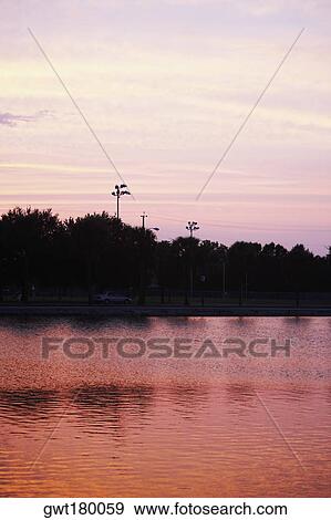 Stock Photo - Silhouette of trees at dusk, Charleston, South Carolina, USA. Fotosearch