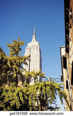 Low angle view of a building, Empire State Building, Manhattan, New York City, New York State, USA View Large Photo Image Stock Photo - Low angle view of a building, Empire State Building, Manhattan, New York City, New York State, USA. Fotosearch