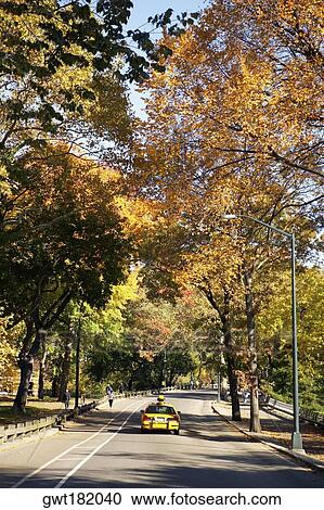 Car on a road, Central Park, Manhattan, New York City, New York State, USA View Large Photo Image Stock Image - Car on a road, Central Park, Manhattan, New York City, New York State, USA. Fotosearch