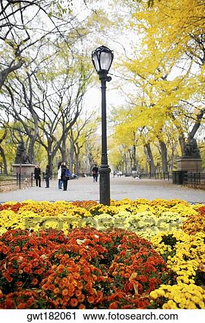 Stock Image - Group of people in a park, Central Park, Manhattan, New York City, New York State, USA. Fotosearch
