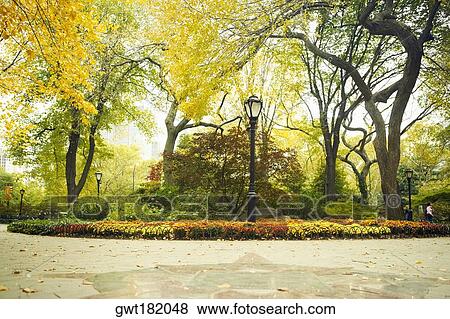 Lamppost under a tree in a park, Central Park, Manhattan, New York City, New York State, USA View Large Photo Image Stock Photo - Lamppost under a tree in a park, Central Park, Manhattan, New York City, New York State, USA. Fotosearch