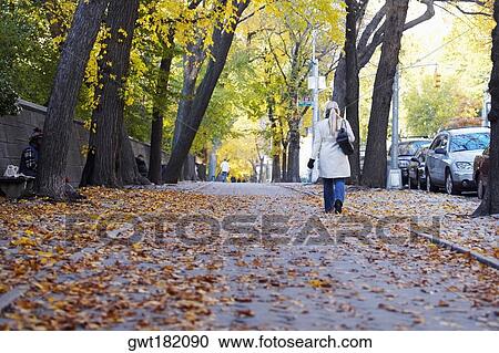Rear view of a woman walking on the walkway, Central Park, Manhattan, New York City, New York State, USA View Large Photo Image Stock Image - Rear view of a woman walking on the walkway, Central Park, Manhattan, New York City, New York State, USA. Fotosearch