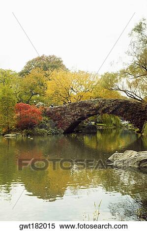 Reflection of a footbridge and trees in water, Central Park, Manhattan, New York City, New York State, USA View Large Photo Image Stock Photography - Reflection of a footbridge and trees in water, Central Park, Manhattan, New York City, New York State, USA. Fotosearch