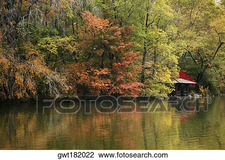 Stock Image - Reflection of trees in water, Central Park, Manhattan, New York City, New York State, USA. Fotosearch