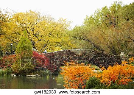 Trees around a footbridge, Central Park, Manhattan, New York City, New York State, USA View Large Photo Image Stock Image - Trees around a footbridge, Central Park, Manhattan, New York City, New York State, USA. Fotosearch
