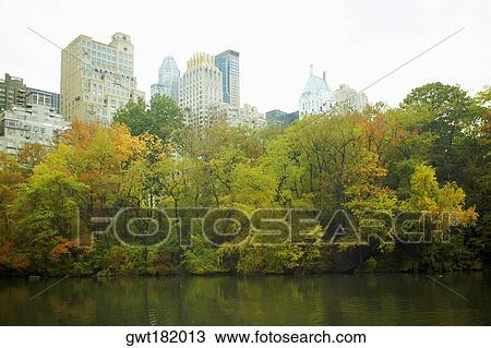 Trees in front of buildings, Central Park, Manhattan, New York City, New York State, USA View Large Photo Image Stock Image - Trees in front of buildings, Central Park, Manhattan, New York City, New York State, USA. Fotosearch