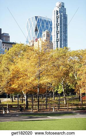Trees in front of skyscrapers, Central Park, Manhattan, New York City, New York State, USA View Large Photo Image Stock Image - Trees in front of skyscrapers, Central Park, Manhattan, New York City, New York State, USA. Fotosearch