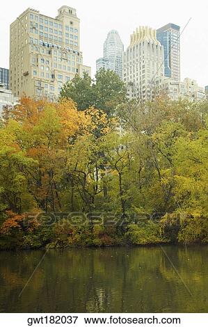 Trees in front of skyscrapers, Central Park, Manhattan, New York City, New York State, USA View Large Photo Image Stock Photo - Trees in front of skyscrapers, Central Park, Manhattan, New York City, New York State, USA. Fotosearch