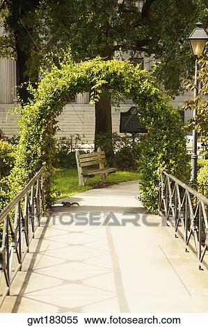 Trellis in a park, Savannah, Georgia, USA View Large Photo Image Stock Photography - Trellis in a park, Savannah, Georgia, USA. Fotosearch