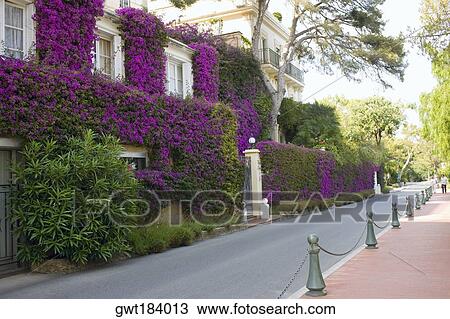 Bollard at the roadside, Monte Carlo, Monaco View Large Photo Image Stock Image - Bollard at the roadside, Monte Carlo, Monaco. Fotosearch