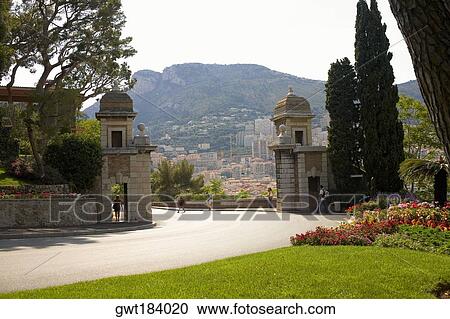 Flowers and trees in a garden, Monte Carlo, Monaco View Large Photo Image Stock Image - Flowers and trees in a garden, Monte Carlo, Monaco. Fotosearch