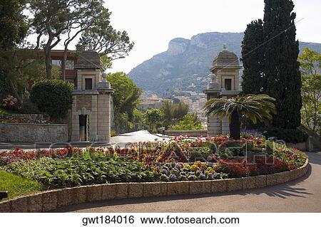 Flowers and trees in a garden, Monte Carlo, Monaco View Large Photo Image Stock Photograph - Flowers and trees in a garden, Monte Carlo, Monaco. Fotosearch