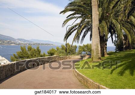 Palm trees along a walkway, Monte Carlo, Monaco View Large Photo Image Stock Photo - Palm trees along a walkway, Monte Carlo, Monaco. Fotosearch