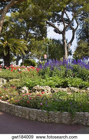 Stock Photo - Plants and trees in a garden, Monte Carlo, Monaco. Fotosearch
