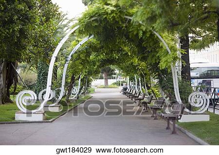 Trees in a park, Monte Carlo, Monaco View Large Photo Image Stock Photo - Trees in a park, Monte Carlo, Monaco. Fotosearch