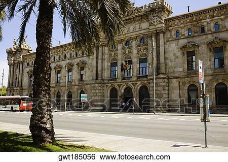 Palm tree in front of a building, Barcelona, Spain View Large Photo Image Stock Photograph - Palm tree in front of a building, Barcelona, Spain. Fotosearch