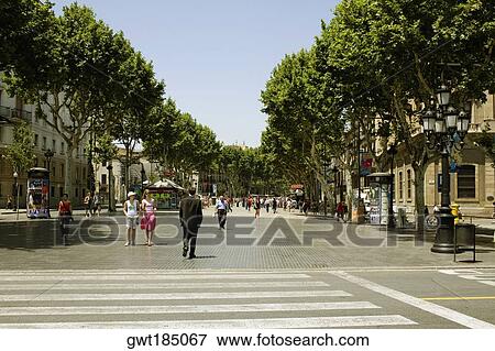 Stock Photo - Trees along the road, Barcelona, Spain. Fotosearch