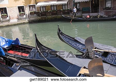 Gondolas docked in a canal, Venice, Italy View Large Photo Image Stock Image - Gondolas docked in a canal, Venice, Italy. Fotosearch